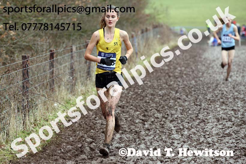 Womens under-20s 2018 British Inter Counties Cross Country Champs., Prestwold Hall, Loughborough. Photo: David T. Hewitson/Sports for All Pics